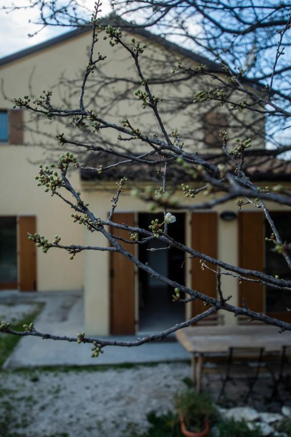 Agriturismo Conero Ancona Exterior foto