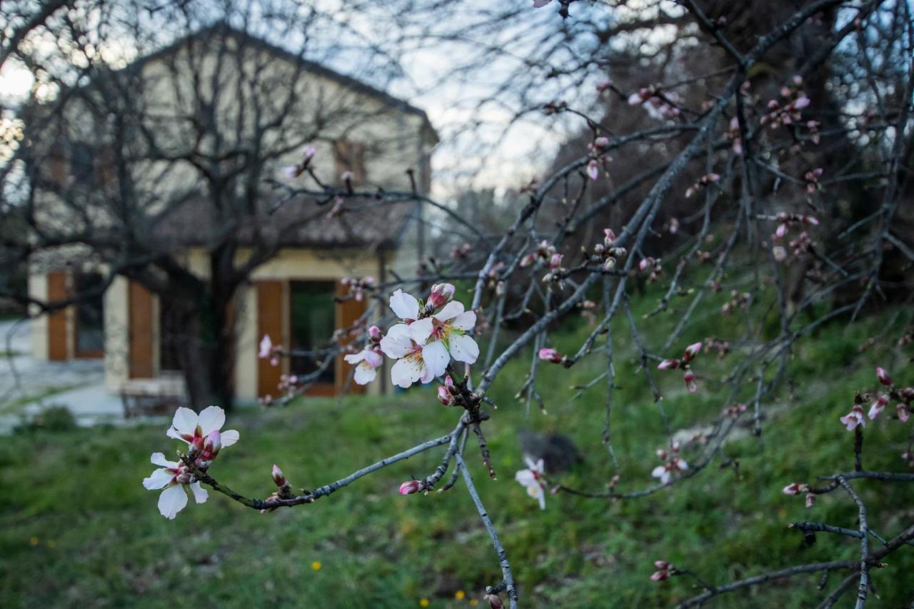 Agriturismo Conero Ancona Exterior foto